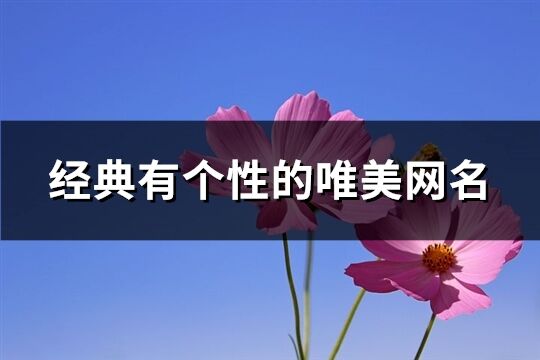 经典有个性的唯美网名(共822个)