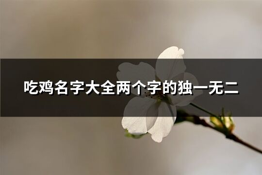 吃鸡名字大全两个字的独一无二(共686个)