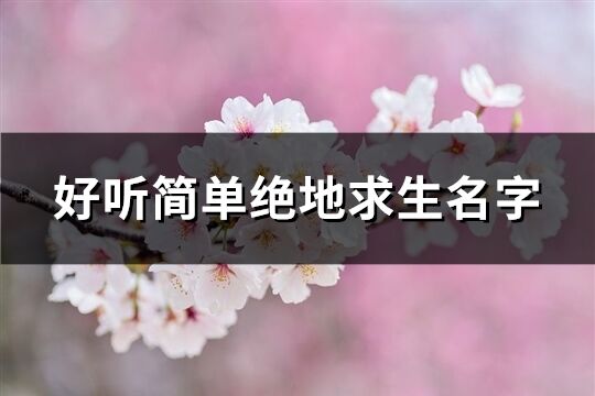 好听简单绝地求生名字(精选498个)