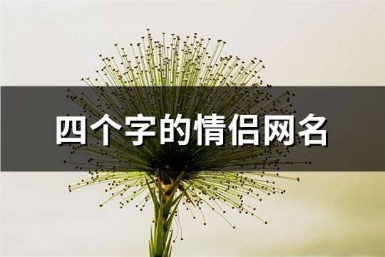 四个字的情侣网名(291个)