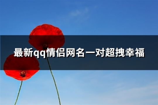 最新qq情侣网名一对超拽幸福(159个)