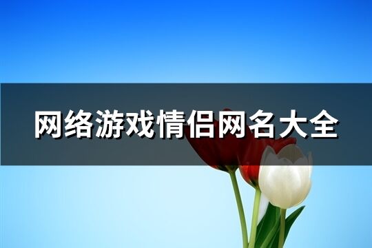 网络游戏情侣网名大全(精选414个)