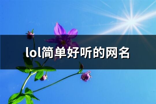 lol简单好听的网名(共897个)