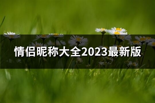 情侣昵称大全2023最新版(精选333个)