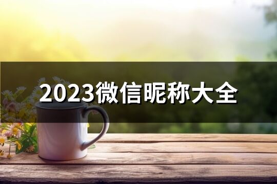 2023微信昵称大全(1116个)