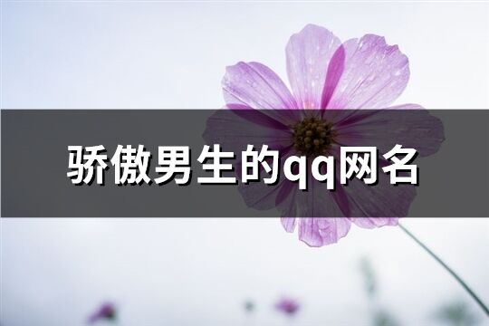 骄傲男生的qq网名(共181个)