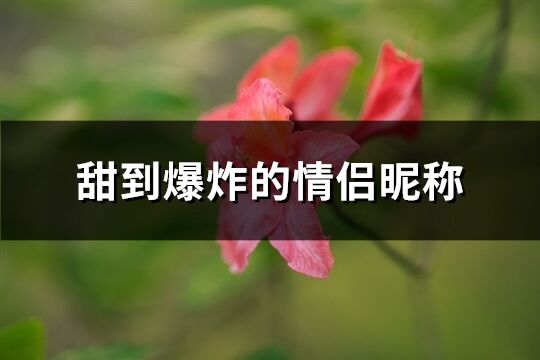 甜到爆炸的情侣昵称(共410个)