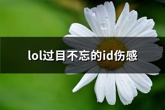 lol过目不忘的id伤感(共72个)