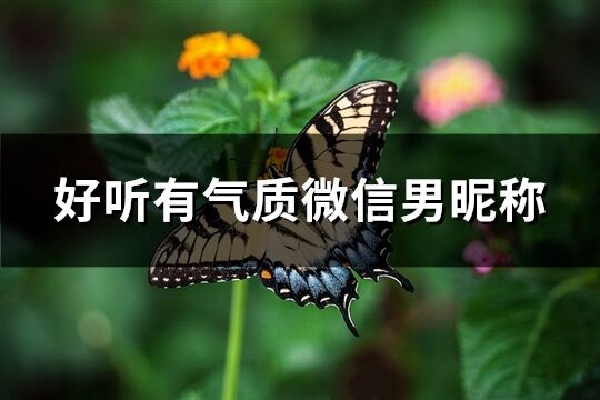 好听有气质微信男昵称(精选211个)