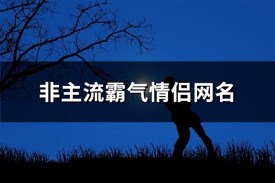 非主流霸气情侣网名(300个)