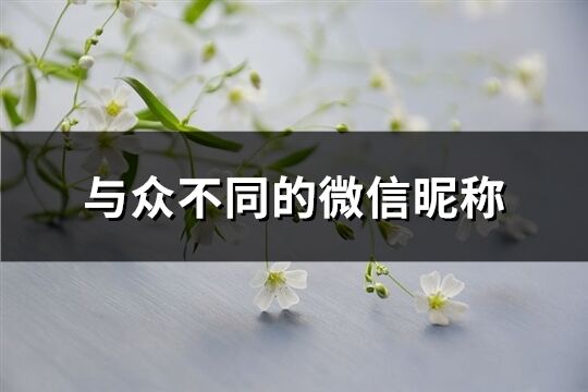 与众不同的微信昵称(共338个)