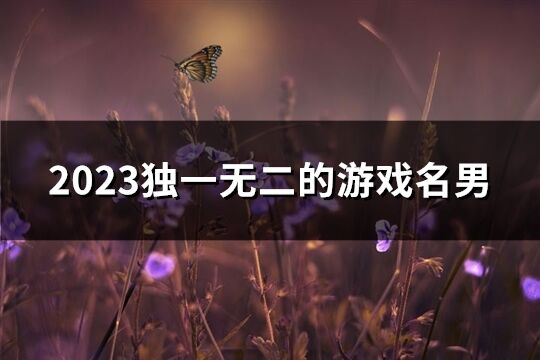 2023独一无二的游戏名男(共376个)