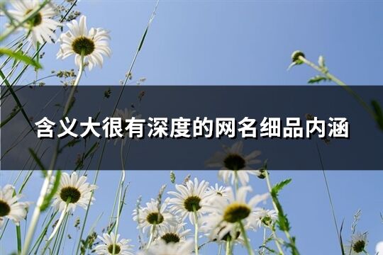 含义大很有深度的网名细品内涵(共1541个)