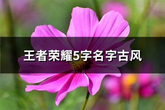 王者荣耀5字名字古风(617个)