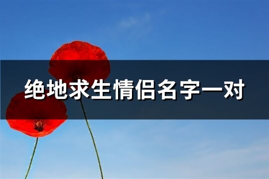 绝地求生情侣名字一对(共150个)