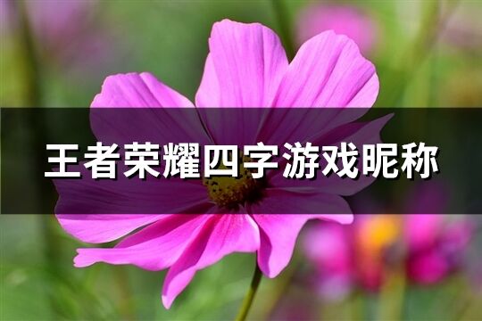 王者荣耀四字游戏昵称(精选828个)