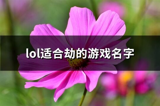 lol适合劫的游戏名字(106个)