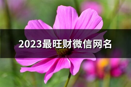 2023最旺财微信网名(共912个)