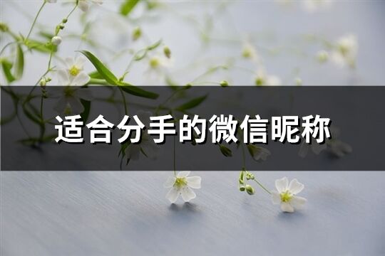 适合分手的微信昵称(共140个)