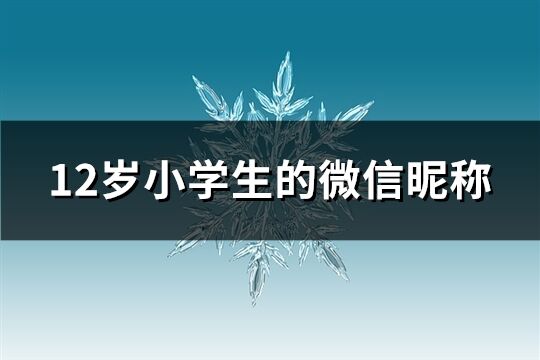 12岁小学生的微信昵称(精选161个)