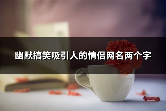 幽默搞笑吸引人的情侣网名两个字(共84个)