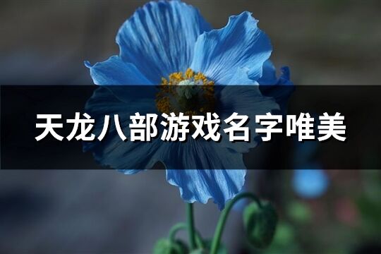 天龙八部游戏名字唯美(344个)