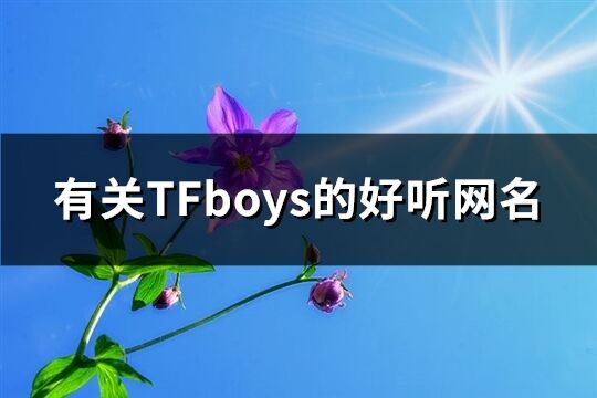 有关TFboys的好听网名(197个)