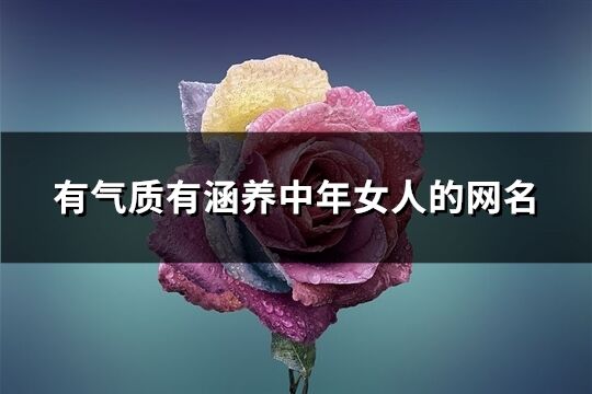 有气质有涵养中年女人的网名(精选1265个)