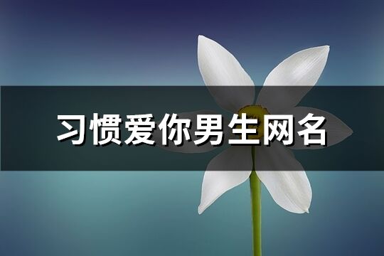 习惯爱你男生网名(共189个)