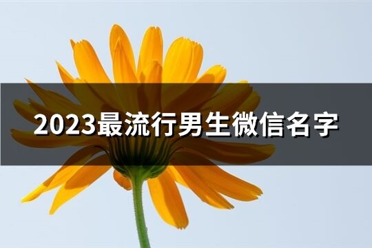 2023最流行男生微信名字(共2338个)