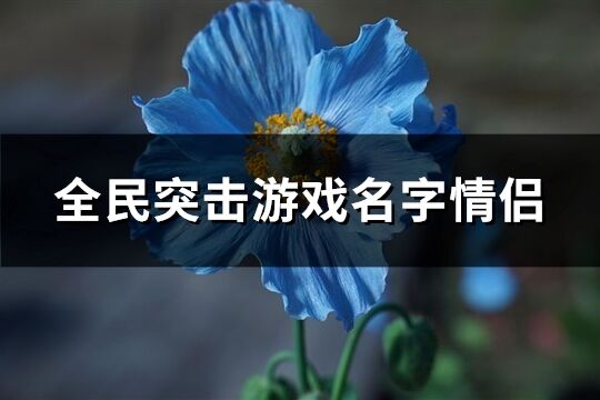 全民突击游戏名字情侣(共115个)