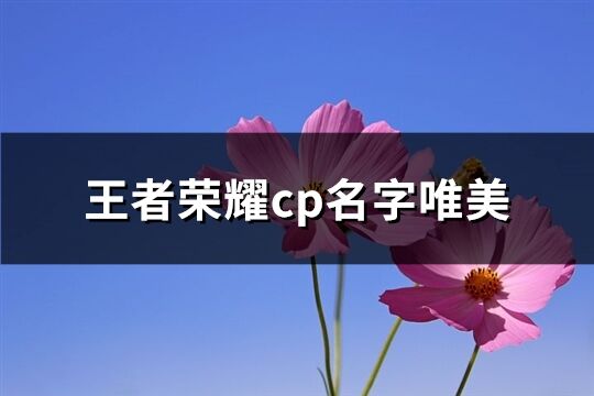 王者荣耀cp名字唯美(117个)