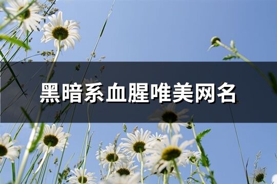 黑暗系血腥唯美网名(204个)