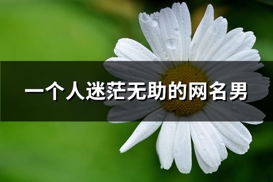 一个人迷茫无助的网名男(精选111个)