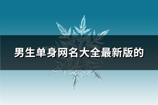 男生单身网名大全最新版的(共281个)