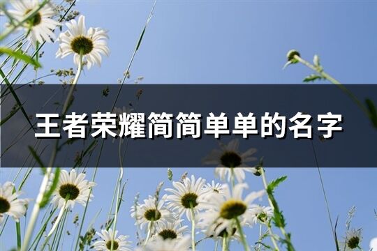 王者荣耀简简单单的名字(共543个)