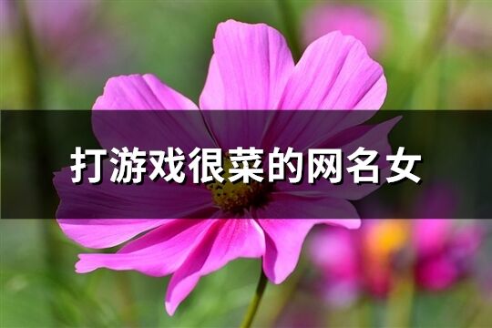 打游戏很菜的网名女(精选174个)