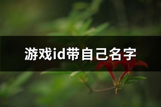 游戏id带自己名字(524个)