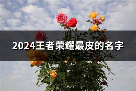 2024王者荣耀最皮的名字(共130个)