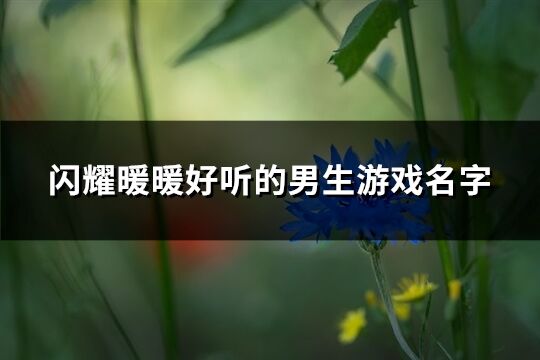 闪耀暖暖好听的男生游戏名字(精选173个)