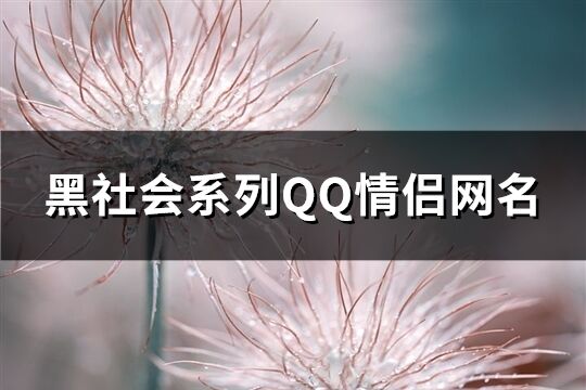 黑社会系列QQ情侣网名(共76个)