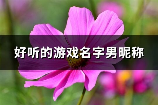 好听的游戏名字男昵称(共469个)