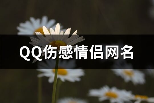 QQ伤感情侣网名(108个)