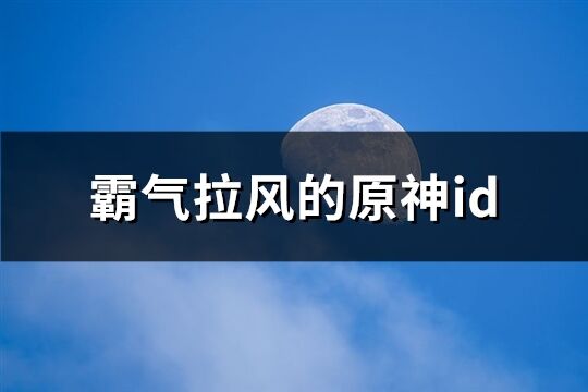 霸气拉风的原神id(精选609个)