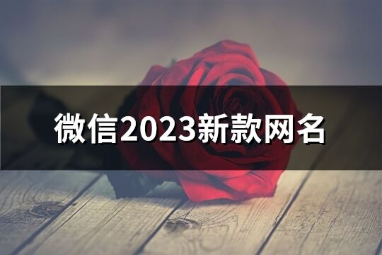 微信2023新款网名(642个)