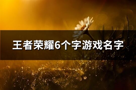 王者荣耀6个字游戏名字(共978个)