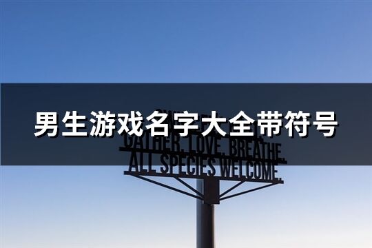 男生游戏名字大全带符号(共334个)