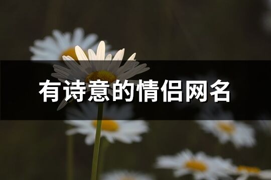 有诗意的情侣网名(共101个)