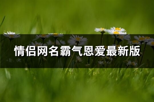 情侣网名霸气恩爱最新版(共311个)