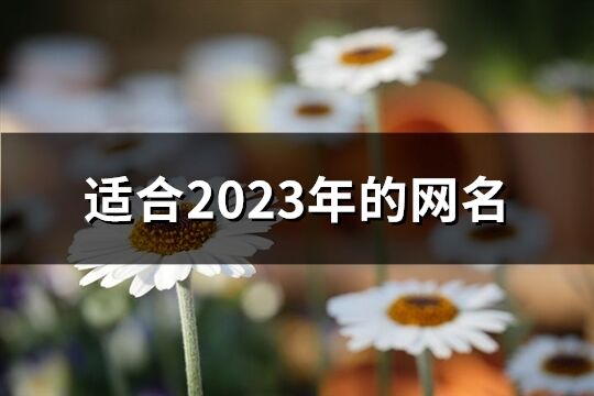 适合2023年的网名(1513个)